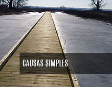 CAUSAS-SIMPLES