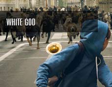 white_god_MINI