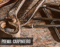 05-carpinteiro-small